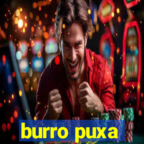 burro puxa